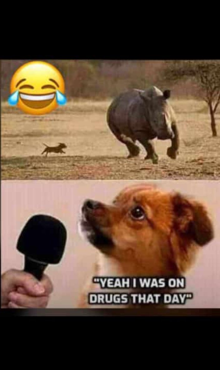 qaasimaa's tweet image. Motivational speaker told me to fight my right 😂.