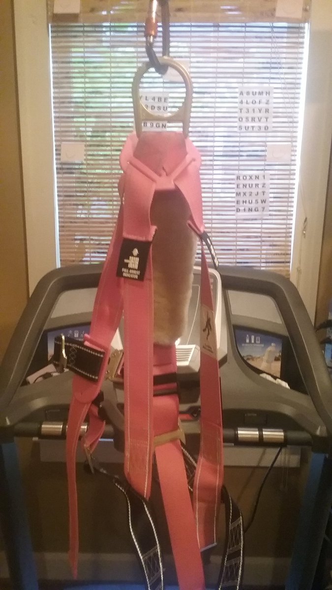 One tool has been our home treadmill with a safety harness system I rigged up.