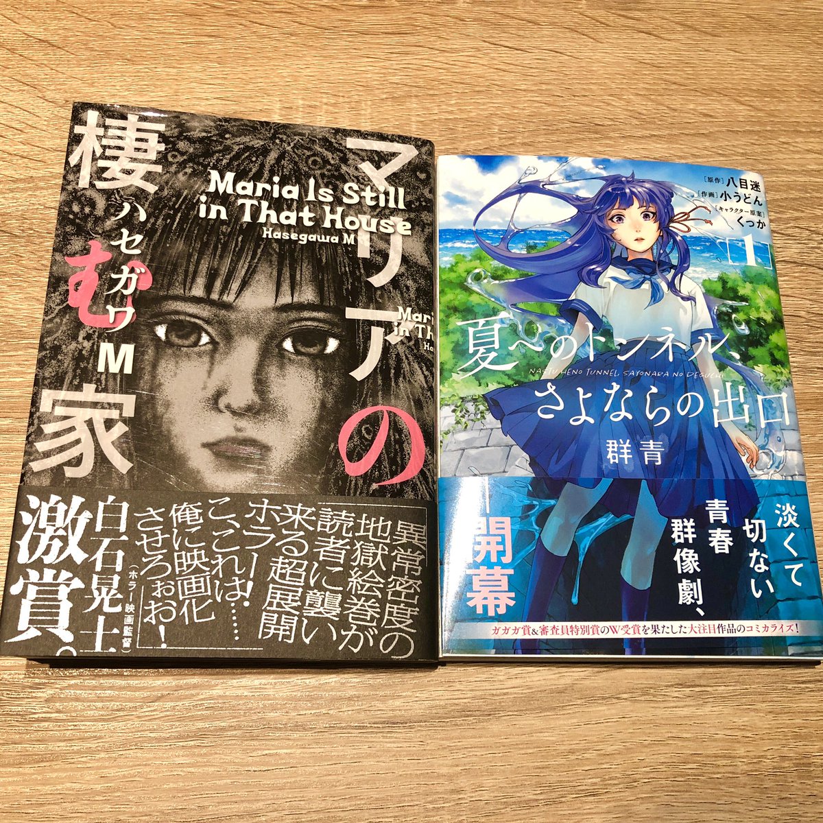 吉川きっちょむ マンガ大好き芸人 今日買ったマンガ マリアの棲む家 夏へのトンネル さよならの出口 群青