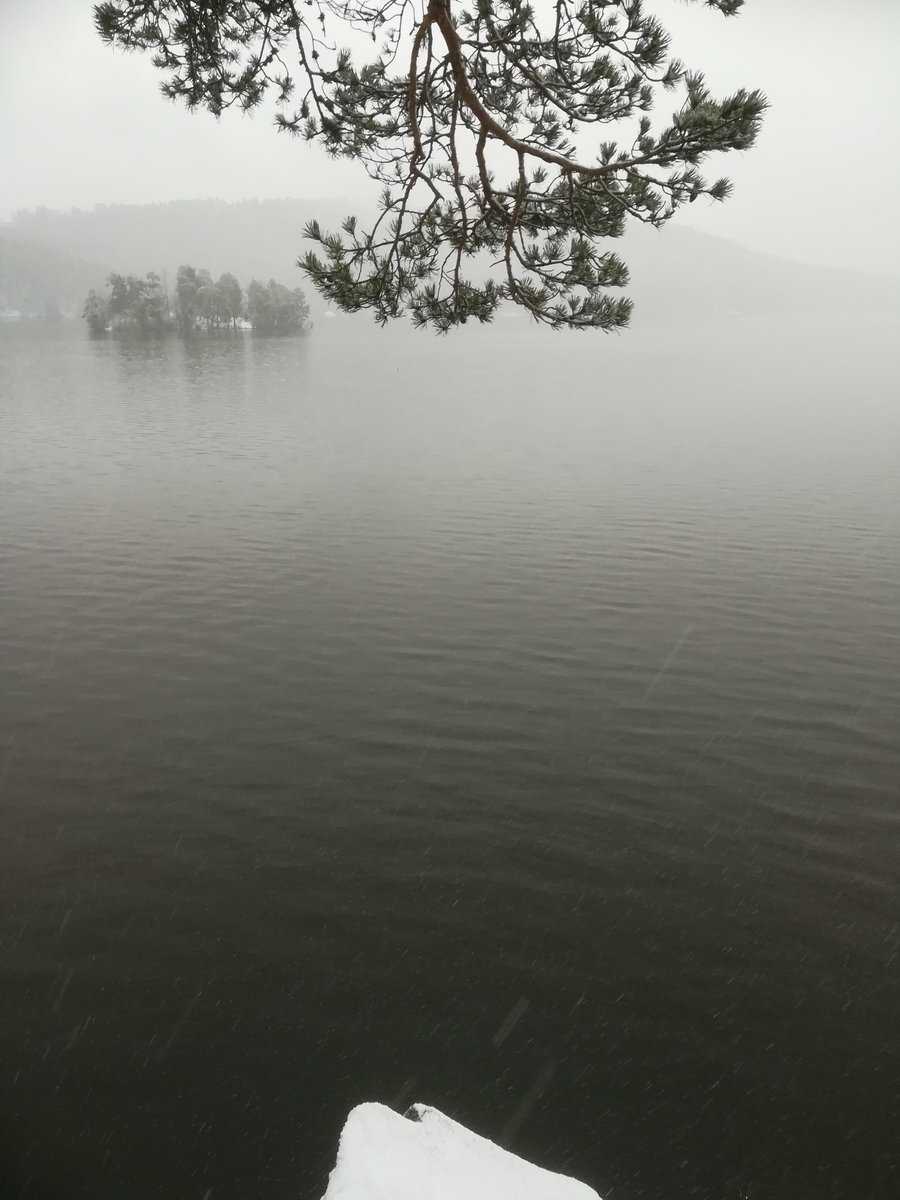 logp49 (@priblis) on Twitter photo 