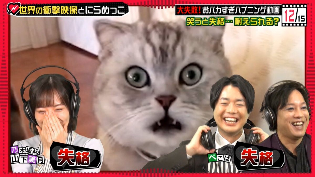 さとし Su Twitter 山下さんとぺこぱとネコ ワールドドキドキビデオ 山下美月 ぺこぱ