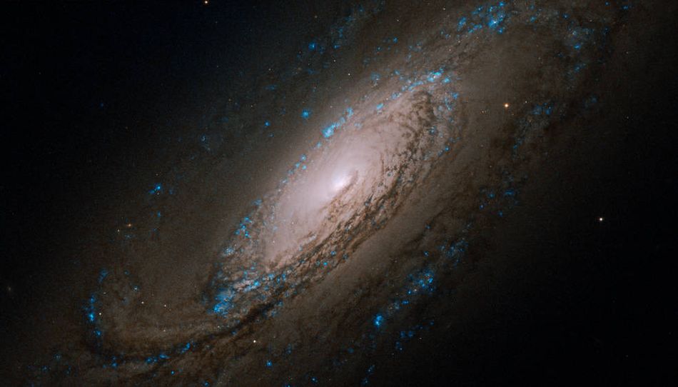 Etkileyici. |
NASA, Hubble Uzay Teleskobu'nun 30. yıldönümü kapsamında evrenin enginliğini tüm ihtişamıyla yakalayan fotoğraflar yayımladı.
Görüntülerde yoğun yıldız kümeleri ve galaksiler yer alıyor.