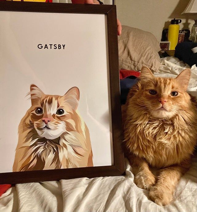 CatParentz's tweet photo. Gatsby’s magnificent chin was immortalized for Christmas. He likes this present. https://t.co/p2p5HNtxft