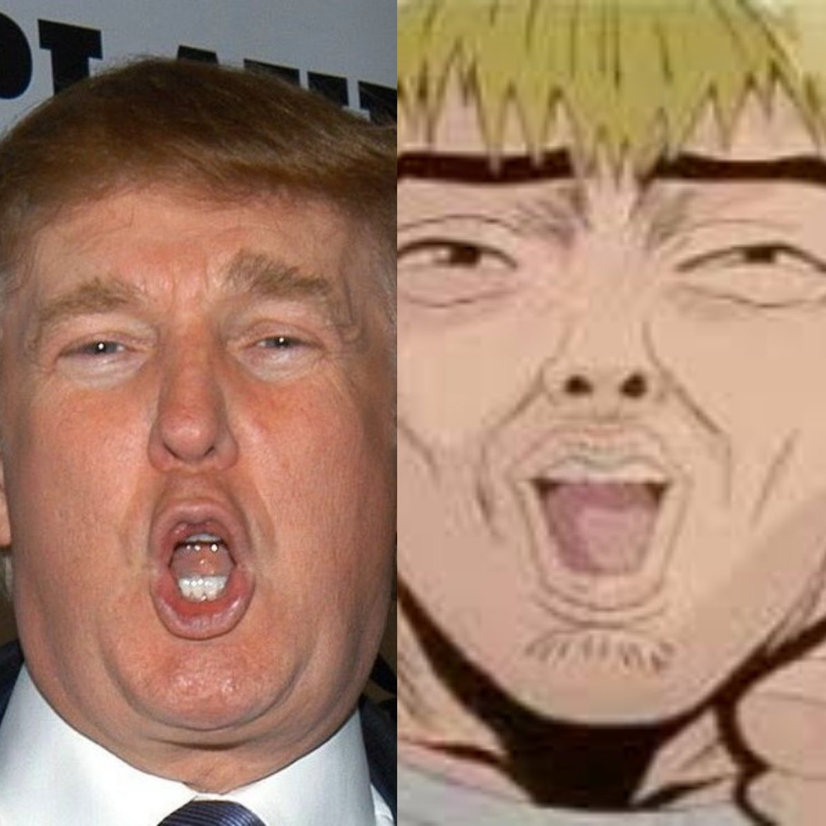 N'empêche, Trump, ça restera le seul homme que je connaisse qui arrive à produire les mêmes expressions faciales que dans GTO sans forcer le trait...