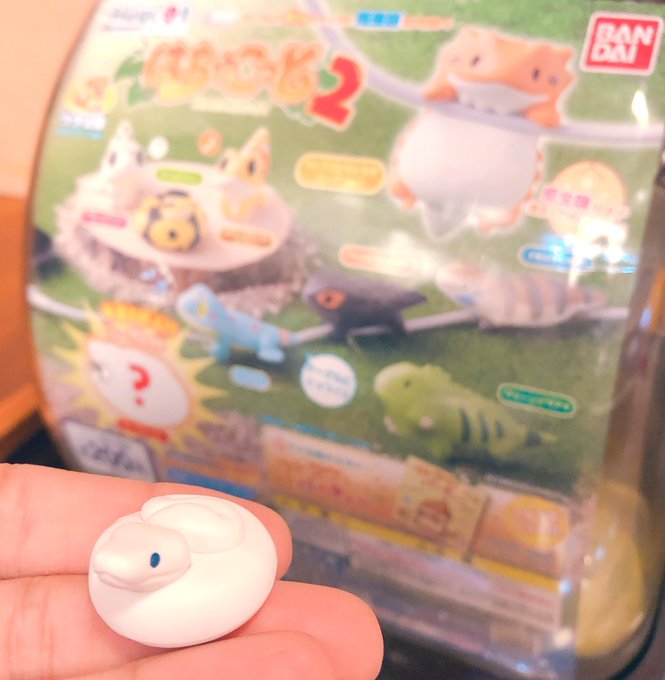 はちゅこっとのtwitterイラスト検索結果