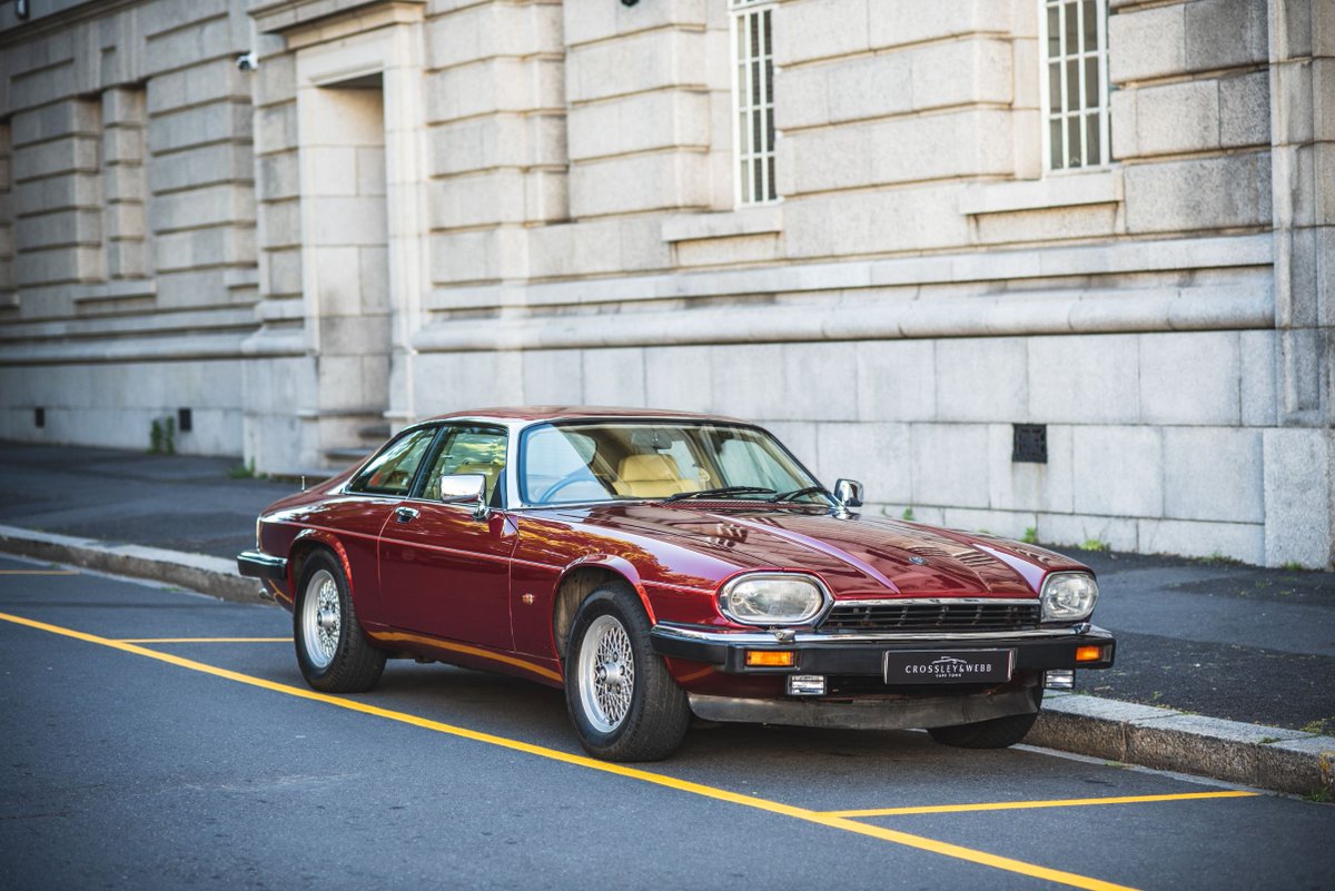 SentiMETAL by Cars.co.za tweet media