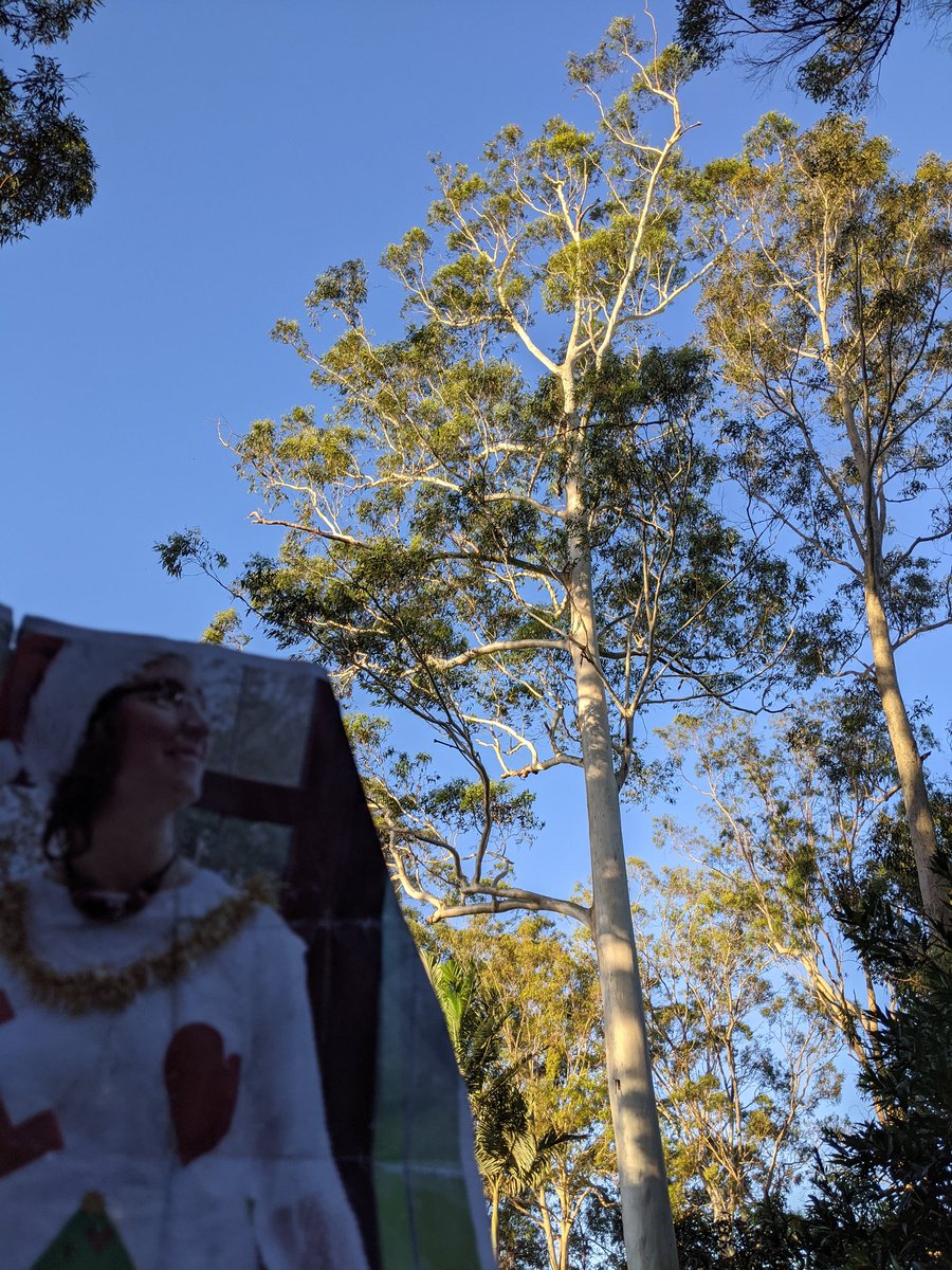 RachaelCurryArt's tweet photo. Day out at Noosa Botanic Gardens for my #virtualVisitor today @LoungeLou #virtualTourNoosa https://t.co/pqlfU0dqaa