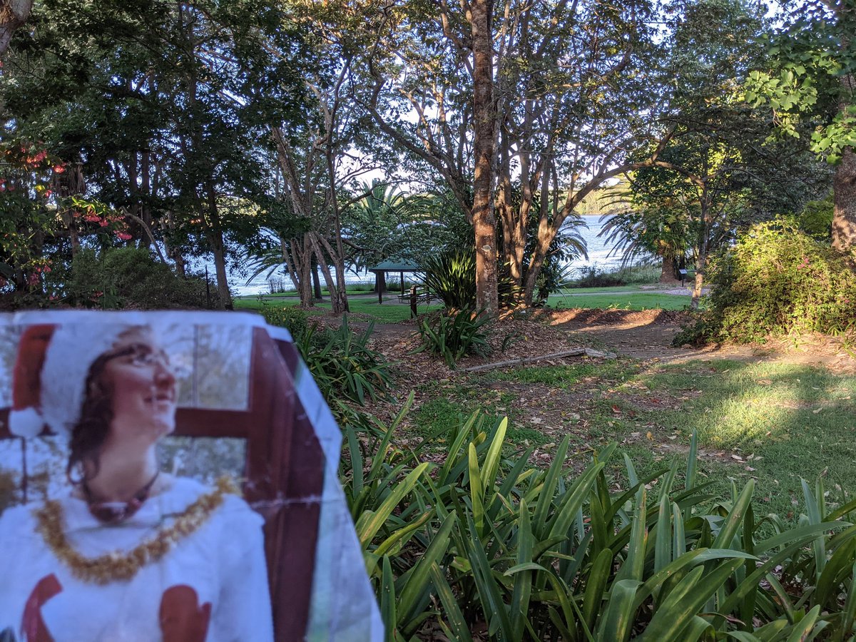 RachaelCurryArt's tweet photo. Day out at Noosa Botanic Gardens for my #virtualVisitor today @LoungeLou #virtualTourNoosa https://t.co/pqlfU0dqaa