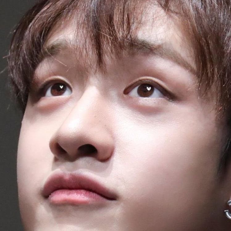 scftlix's tweet photo. - the tiniest🥺😌 https://t.co/1L5ihOybko