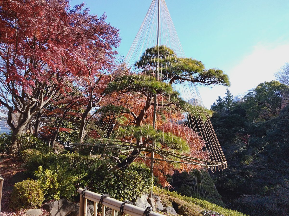 しながわ観光協会 東京 品川のおでかけ情報 紅葉便り 池田山公園 しながわ観光協会 東京 品川のおでかけ情報 紅葉便り 池田山公園