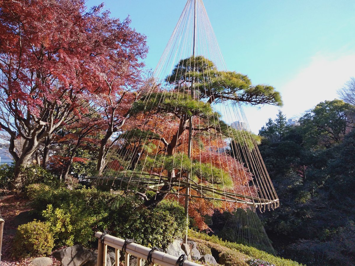 しながわ観光協会 東京 品川のおでかけ情報 紅葉便り 池田山公園