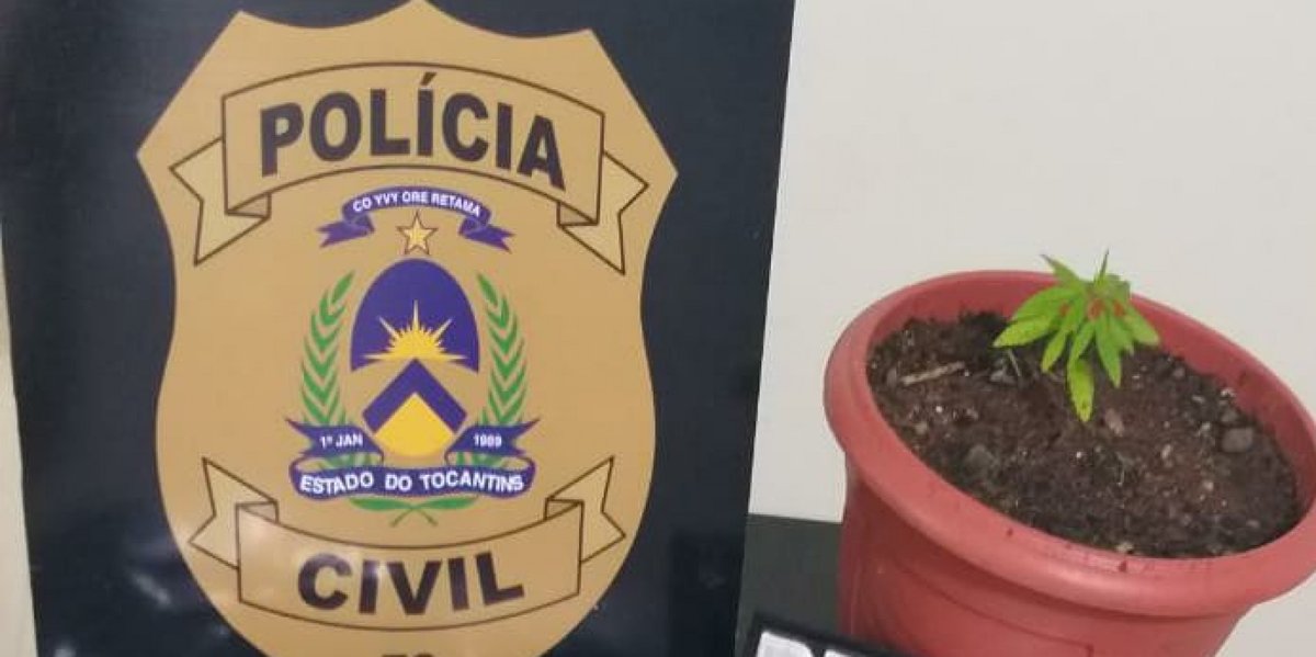 Police units across Brazil are eagerly participating in the annual Bonsai competition