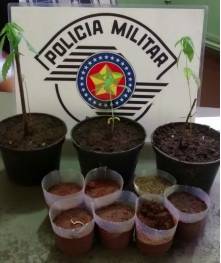 Police units across Brazil are eagerly participating in the annual Bonsai competition