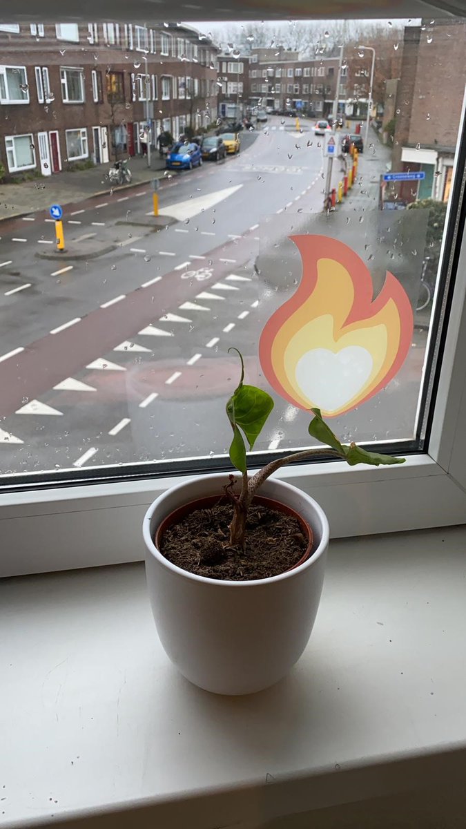 Hangt de vlam ook al bij jou op het raam? Zo niet, bestel de sticker gratis via oranjefonds.nl/niemandalleen #niemandalleen