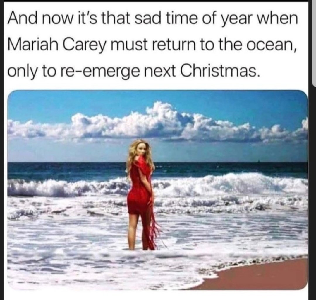 DanielTeeArr's tweet image. Thanks Mariah, merry christmas, Back to the sea you go. #Christmas #2021WillBeBetter