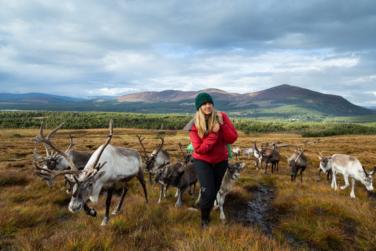 Justin Purefoy tweet media