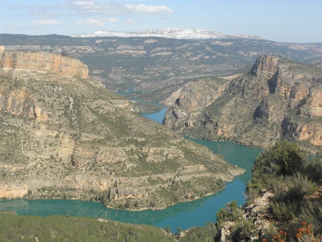 PostureoAb's tweet photo. "Por Albacete es todo muy llano, un secarral"

Toma secarral llano https://t.co/JRbY39IE4a