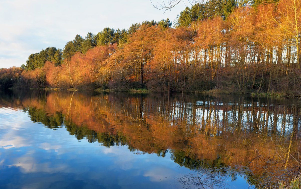 whymarkc's tweet image. Recent walk