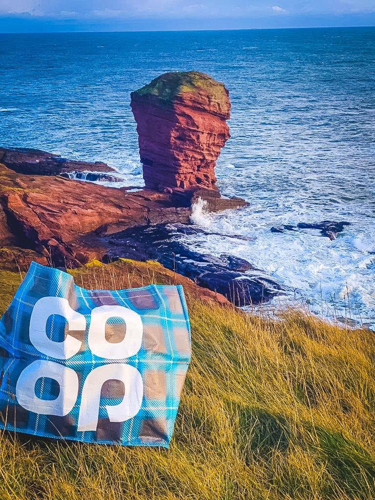 brizmitch's tweet photo. The Tartan Bag Visiting.... The Deil’s Heid Arbroath. Look real close.....
#thetartanbag
@maria_dryburgh 
@KevinBuchanCoOp 
@BarryJJardine https://t.co/hL6WIwdBps