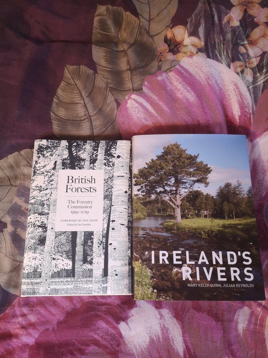 Geography Teacher🗺️ Christmas🎄Presents🎁 #Forests🌲🌳🌿#Rivers 🏞️