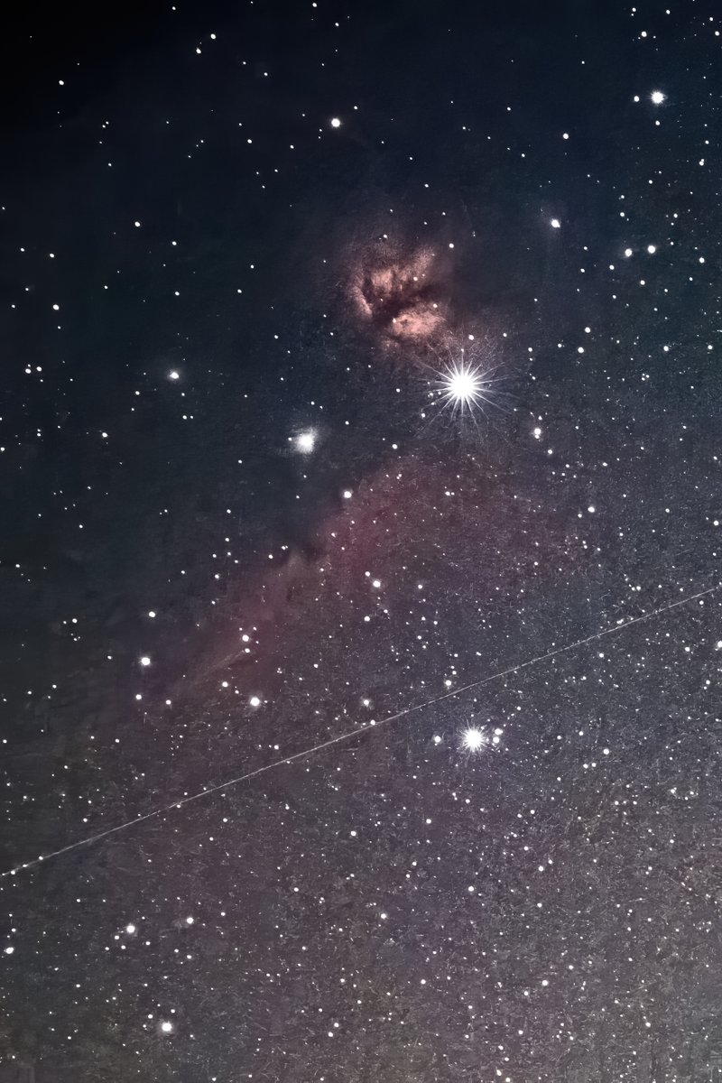  #2020年を写真で振り返る 同日、月明かりの中で馬頭星雲に初チャレンジギリ写ったレベルリベンジがまだできていない…ｸﾞﾇﾇ