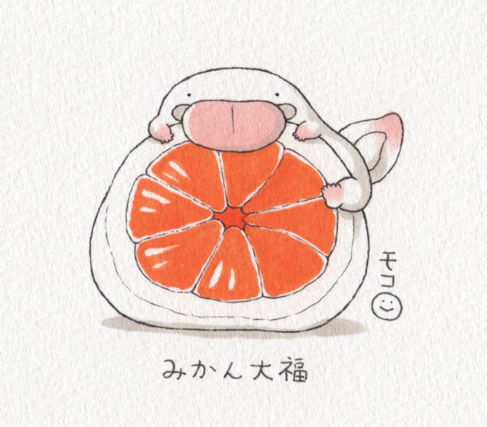 こんばんは、モコです。寒い日といえばこたつでみかん?今日はオオサンショウウオとみかんシリーズをまとめてみました! 