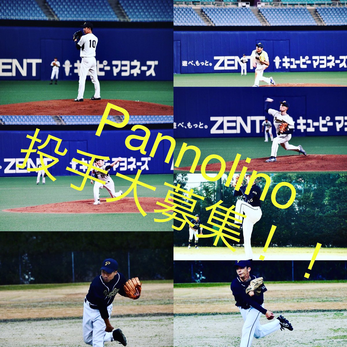 apollonbaseball's tweet photo. Pannolinoでは投手を募集します！
今まで投手陣を支えていたメンバーが今年限りで退団するため、投手経験者を大募集します！
#名古屋　#草野球　#投手募集 https://t.co/pCB0V8u3gz