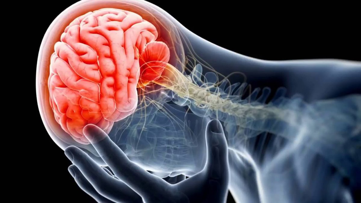 'The Khylackovski Khaos is a strategy alignment of disinformation, propaganda and authoritarian responsedelivered at whiplash speeds to the problem that was initially manufactured." https://www.bebee.com/amp/producer/@brian-mckenzie/kyrzbekistan-the-khylackovski-khaos?__twitter_impression=true