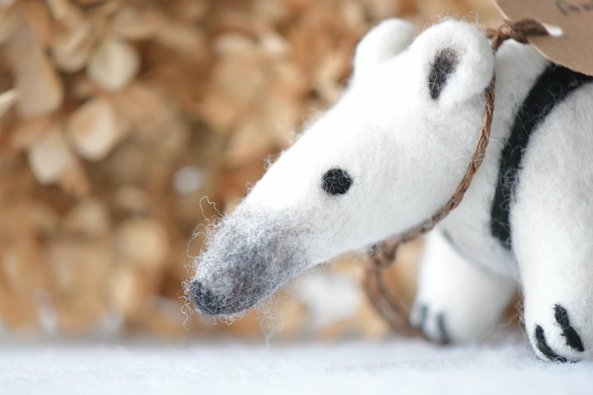 Yoo 𓍐𓍊 やっぱりかわいい物が好き 大人可愛いインテリア雑貨 6th Day Twitter Fluffy Pod Instagram T Co Oyuzuhjbgu Minne T Co V8zxnuezs2 Creema T Co 2cgvphkjfh もはや癒し 可愛い動物さんと 今年の冬を Yoo 𓍐𓍊 やっぱりかわいい物が好き 大人可愛いインテリア雑貨 6th Day Twitter Fluffy Pod Instagram T Co Oyuzuhjbgu Minne T Co V8zxnuezs2 Creema T Co 2cgvphkjfh もはや癒し 可愛い動物さんと 今年の冬を