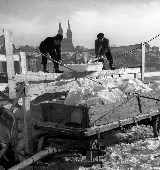#zajimavost Naposledy Vltava kompletně zamrzla v roce 1956. Led byl tenkrát při dvacetistupňovém mrazu tak silný, že udržel pivovarské valachy, kteří táhli povozy s pivem z branického pivovaru až na Zlíchov.
Zdroj: Milujuprahu.cz
