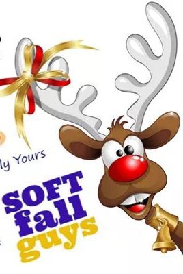 Softfallguyscom's tweet photo. @softfallguys Merry Christmas https://t.co/tqHWAKCkqx