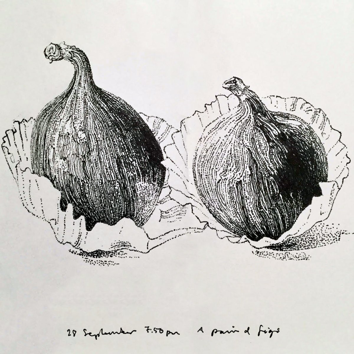 cequireste's tweet photo. « Certes, je voudrais changer tant de choses,
trop peut-être, mais le cœur, tu le sais,
reste toujours à gauche... »

Poèmes de Piergiorgio Viti
Dessins de John Hewitt
Traduction de Thierry Gillybœuf

https://t.co/n7z1InM4DT https://t.co/bMd4ozp1bv