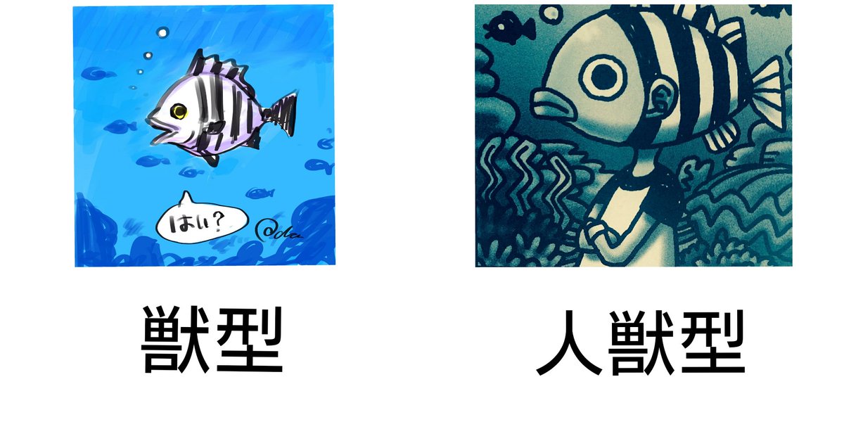 ポーネグリフのarimo モデル イシダイ ポーネグリフのarimo モデル イシダイ