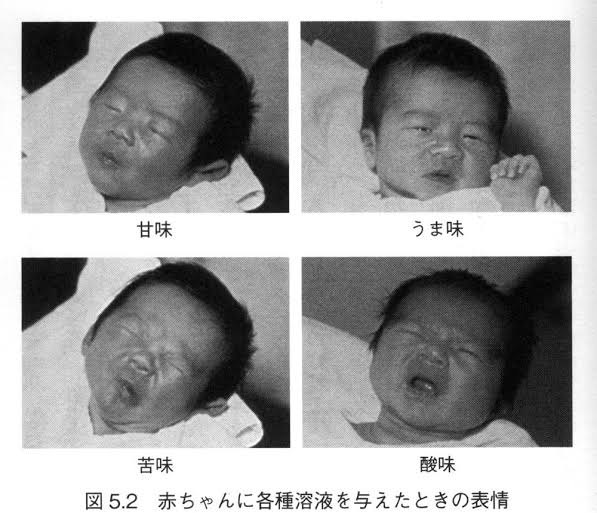 Watamotist 図5 2 赤ちゃんに各種溶液を与えたときの表情 19年6月にバズったツイートは削除されてる T Co 34etbyub6i 味の素さんがカラーを持ってる T Co Pim2isd8qu 味の素さんが参照したsourceがあるのかな T Co Tilkwrd1ff