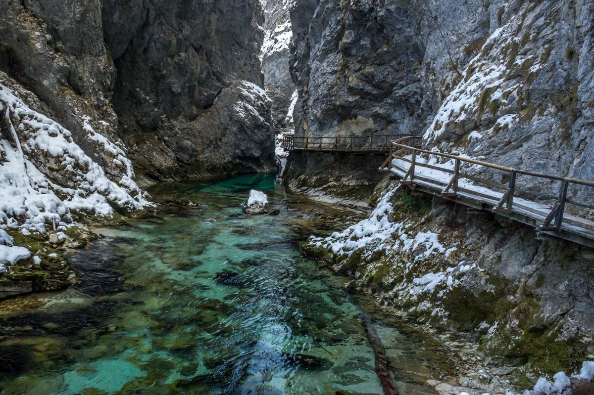 Dark Markets Slovenia
