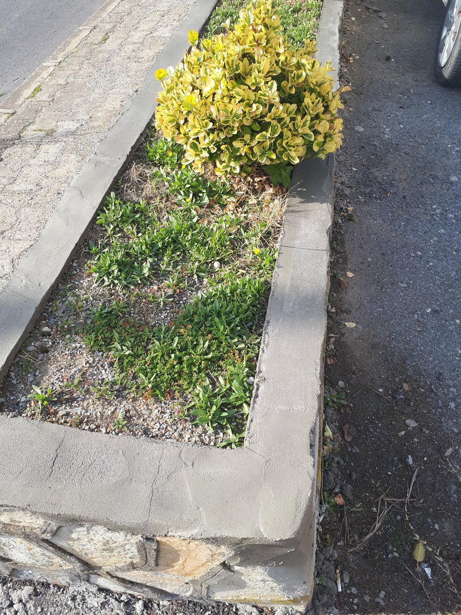 EgeOrdusu's tweet photo. Narlıdere Lojmanları içerisinde bulunan tretuar ve parke taşlarının onarım çalışması başlatılmıştır https://t.co/2mC2L4JnFR