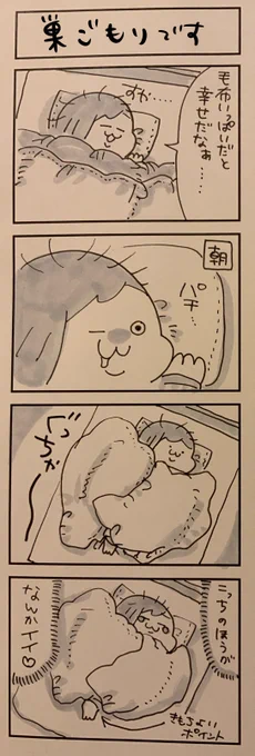 192日目 ニトリで出している重たい毛布すごく興味があります。でも買ったらこたつよりも吸引力ありそうです・・・ 