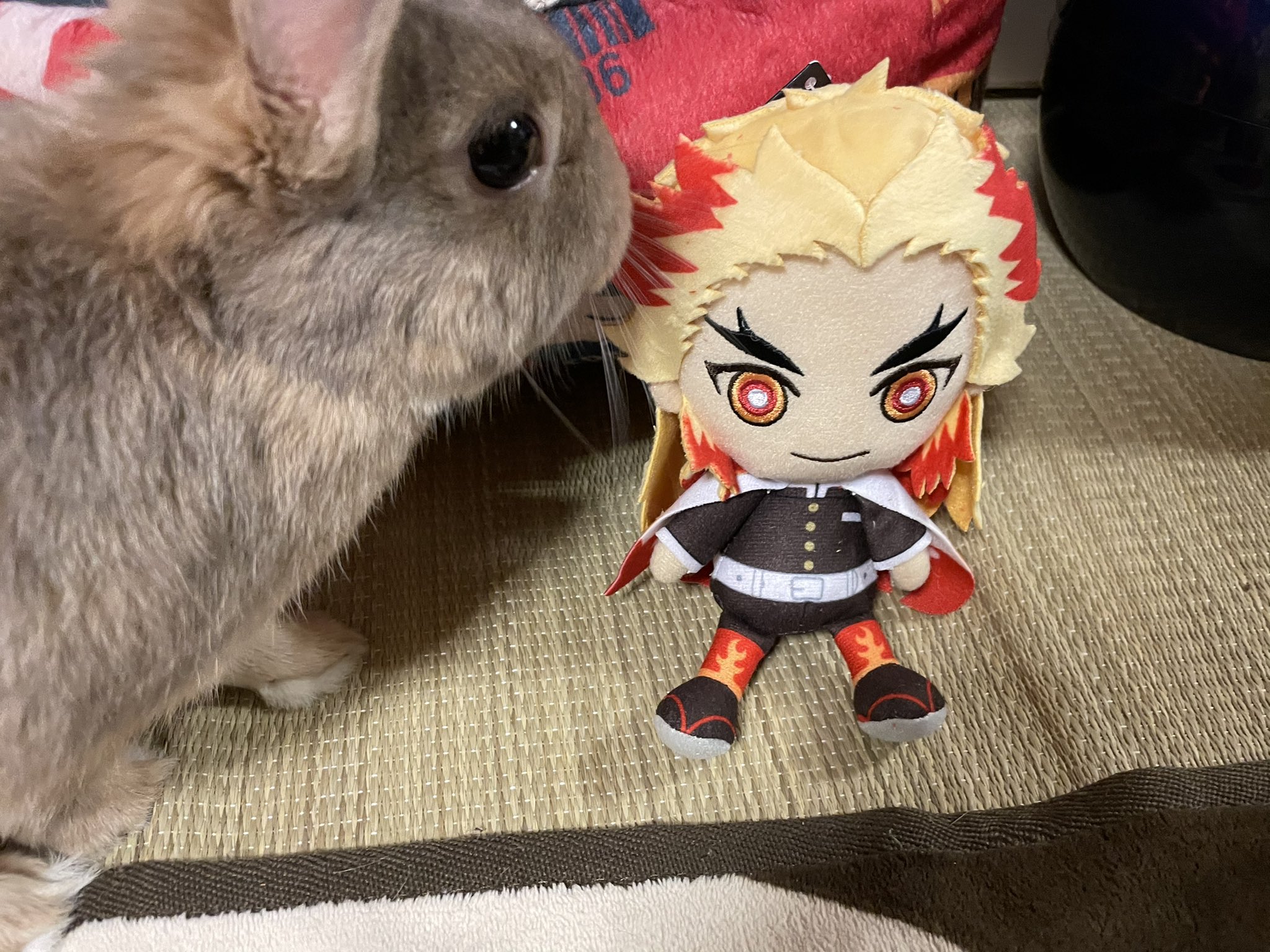 うさぎのラピスラズリーヌ Usaginolapis Twitter