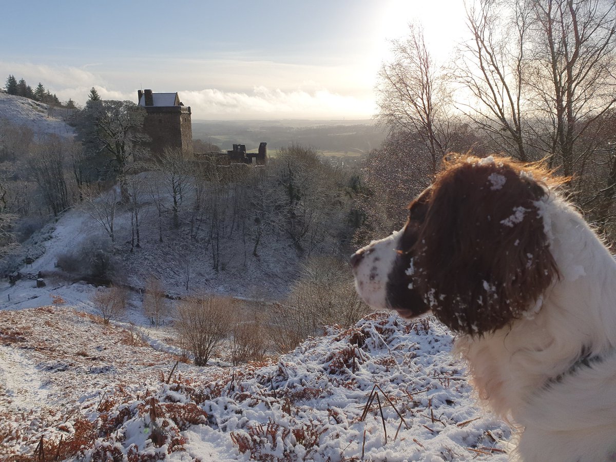 MillarRichard's tweet photo. After yesterday's storm, a great day for a walk with #Snowpaws in #DollarGlen, so many people out enjoying the beautiful #Christmas snow, #walking #cyclinglife #sledging and enjoying that incredible light. @DiscoverClacks @welovehistory @EPIC_OCHILS https://t.co/MsCYb7USKx