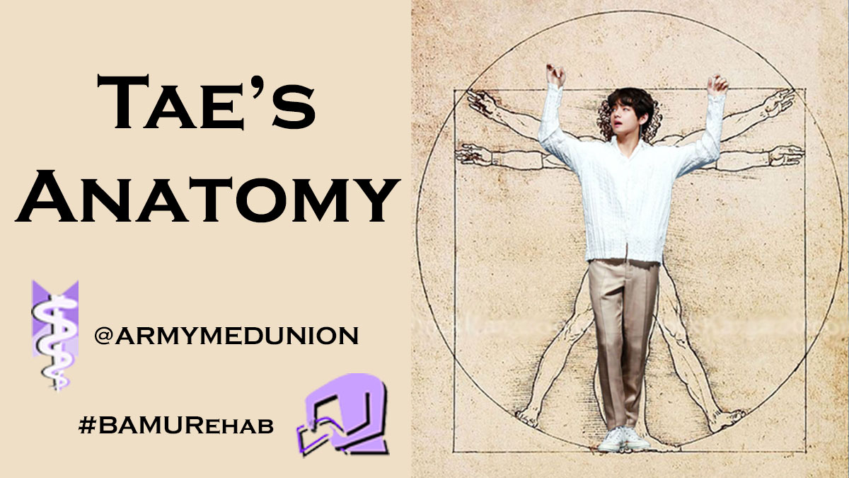 In honor of his upcoming birthday,  #BAMURehab presents Tae’s Anatomy, a thread where our favorite winter bear serves as the prime example for various anatomical structures!