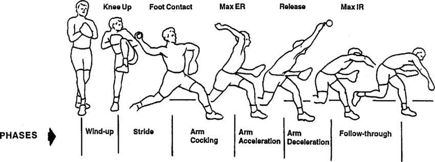 people.For a throwing athlete, internal rotation of the shoulder is essential for the transition from wind-up all the way to release.Internal rotation velocities at the shoulder can reach ~7500 degrees/second in pitchers, so it’s important to have non-compensatory IR.