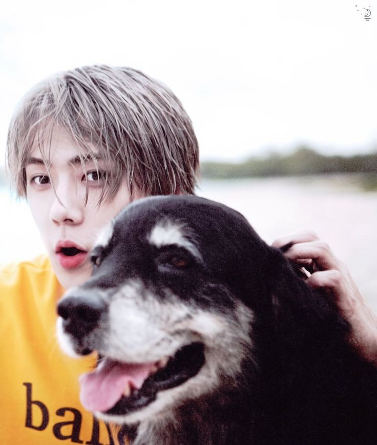 sc_puppy's tweet image. ขโมยวัยเด็กเขามา ช่วงเวลาที่เขาได้เล่น ได้ทำสิ่งที่ชอบ มาเป็นเทรนนี่ จนได้เดบิ๊วท์ ถึงตอนนี้เด9ปีแล้ว จะทิ้งขว้าง เขาก็ทิ้งเอาง่ายๆเลยเนอะ พูดแล้วเจ็บใจ เราทุกคนรู้ว่าเซฮุนพยามแค่ไหน น้องพัฒนาตัวเองมาจน on top ปังทุกเส้นทาง ทำได้ดีทุกเรื่อง ไปได้สวย จนมาถึงวันค่ายเท แม่งเทเลย