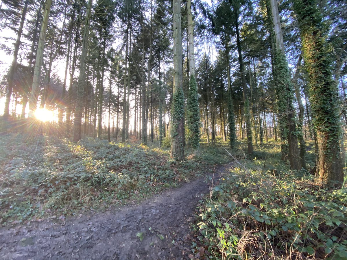 AFM_History's tweet image. What a beautiful place to go for a walk... very much needed after Christmas indulgences!