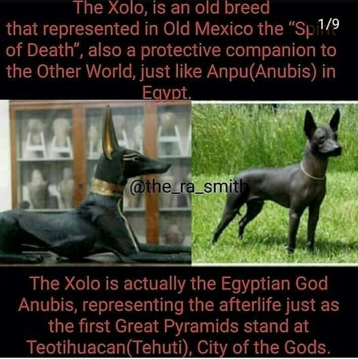 The last picture comes from the book, ancient mystic oriental masonry.