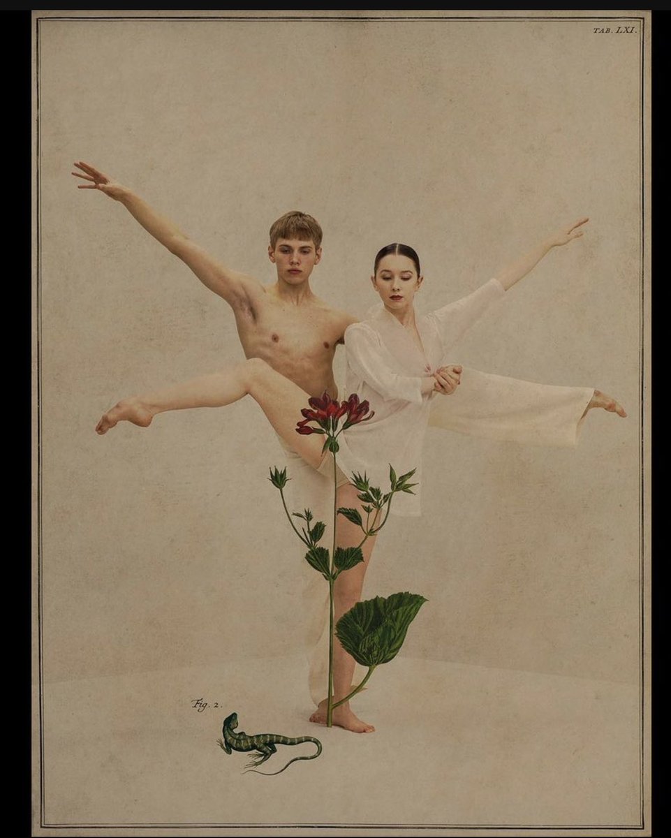 Artwork <a href="/RAHIREZVANI/">𝑹𝒂𝒉𝒊 𝑹𝒆𝒛𝒗𝒂𝒏𝒊</a>  <a href="/NDTdance/">NDT</a>