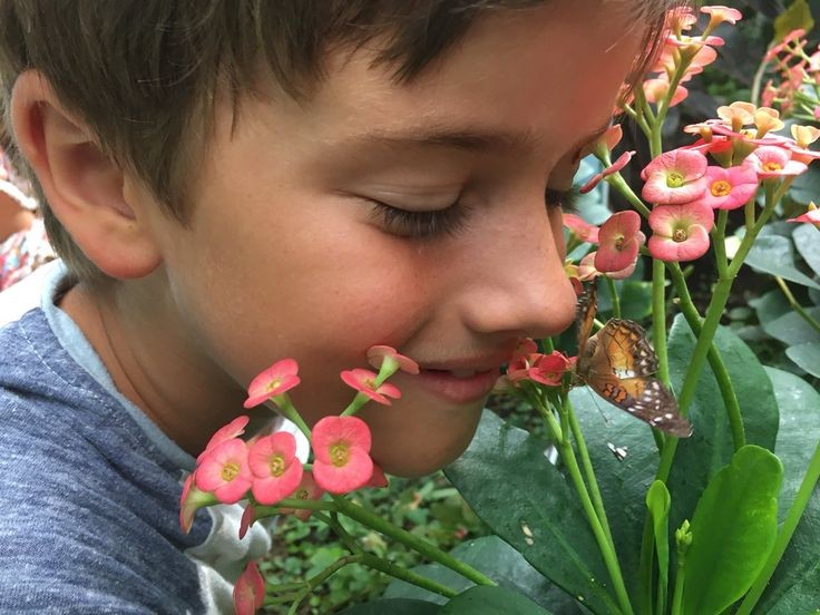 Misha Collins as his kids Maison and West  - a thread