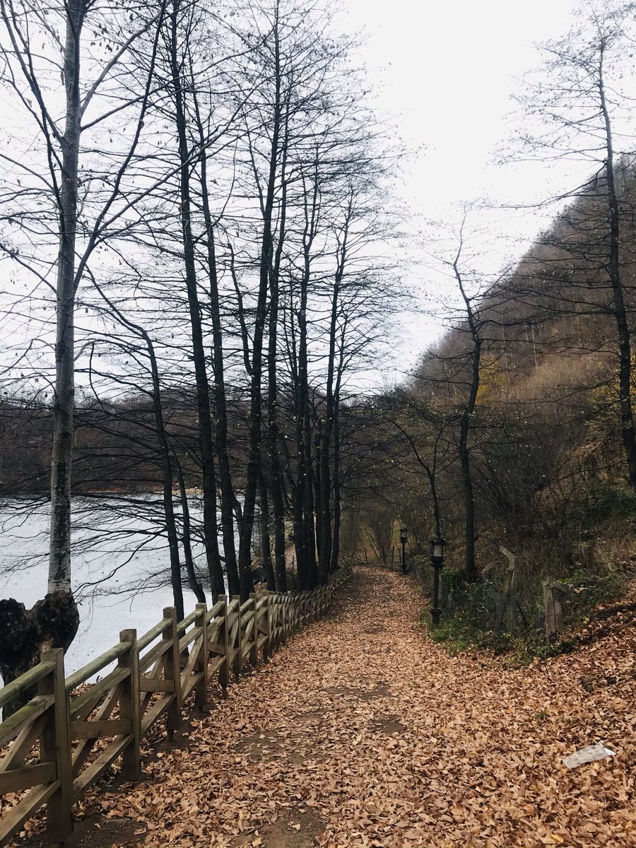 Pandemi döneminin bana kattığı en güzel şey kalabalık beton yığınlarından uzaklaşarak doğaya dönmek oldu..