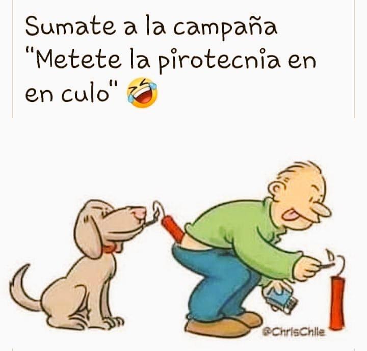 martinarrau's tweet photo. 🚫🧨 Pasan los años y muchos no entienden, así lo vimos una vez más para esta Navidad. Con esto sufren personas autistas y nuestras mascotas, quienes pueden tener graves crisis provocadas por algunos minutos de diversión con petardos y otros  fuegos de artificio. https://t.co/weFCoRjLG4