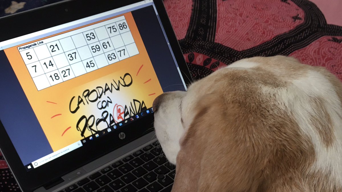 Pronti a giocare!!!
#propagandalive 
#propagandatombola