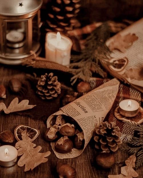 tis’ the damn season